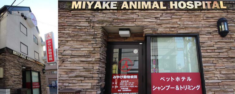 miyake-ah-header-1-2