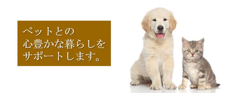 miyake-ah-header-2-2